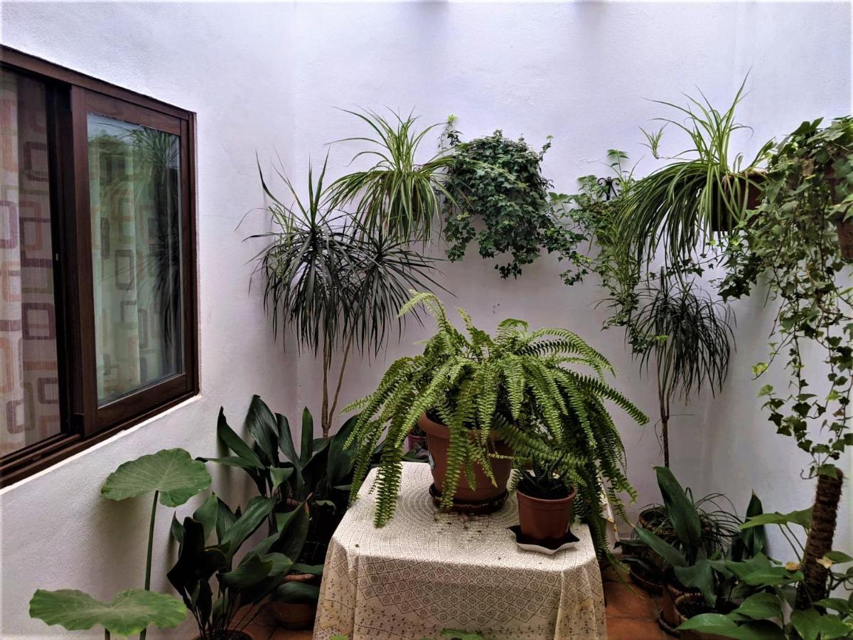 Hostal Moraima Capileira Ngoại thất bức ảnh